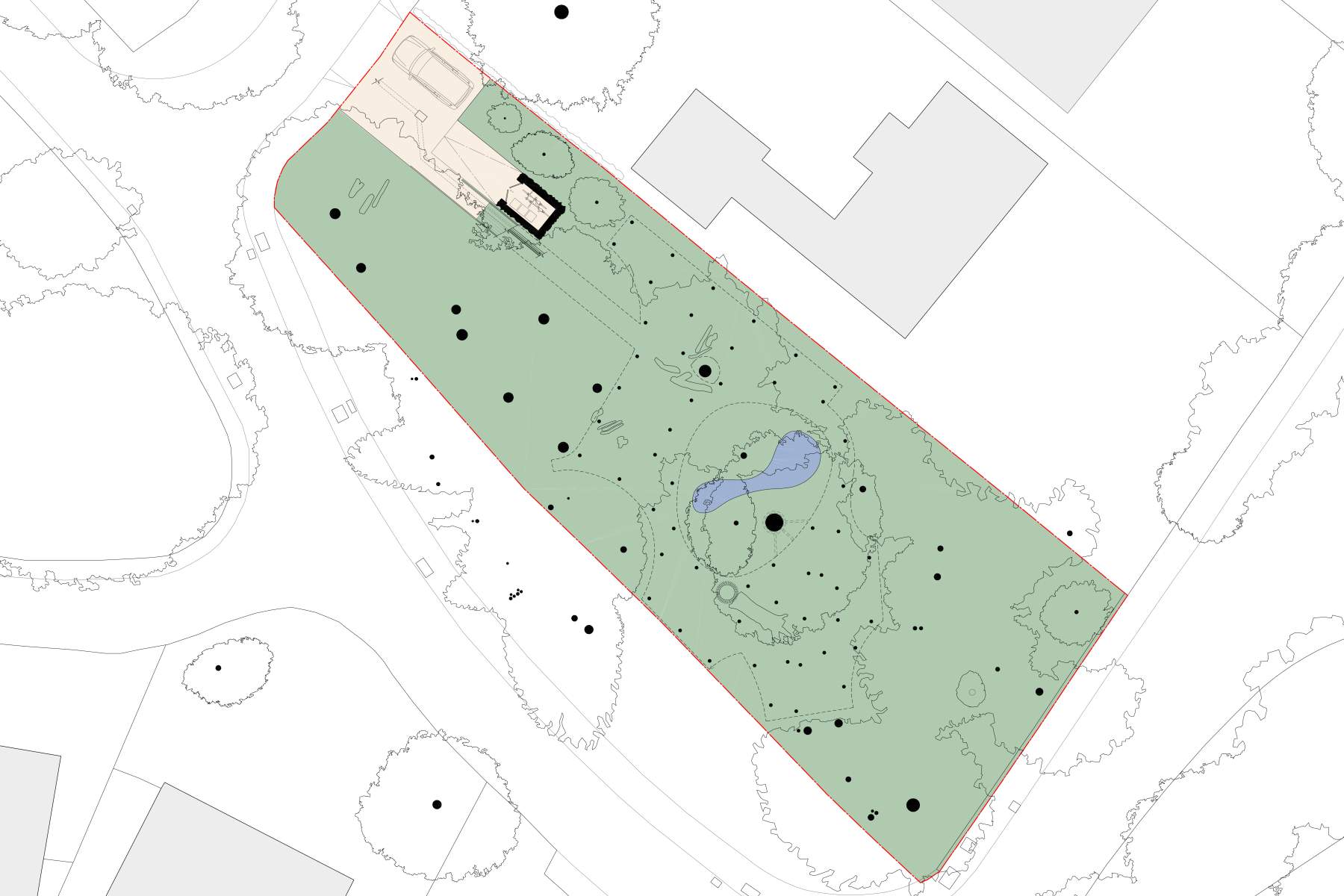 Plan of woodland floor with new pond.